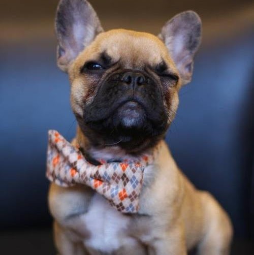 Jessica Poole Photo 14