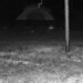 Barbara Reyes Photo 3