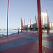 Daniel Donoghue Photo 24
