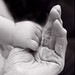 Arlene Hand Photo 5
