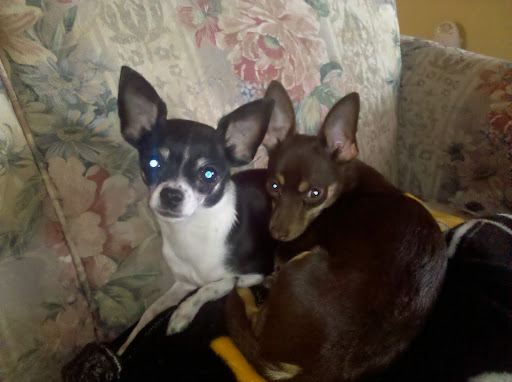 Shannon Nichols Photo 40