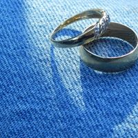 Robin Merchant Photo 12