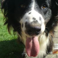 Jack Morgan Photo 19