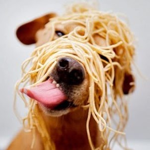 Catherine Sheppard Photo 25