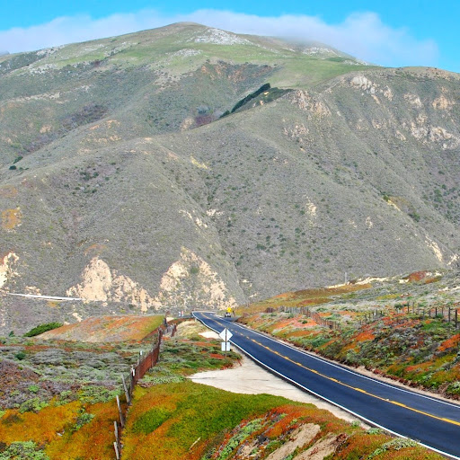 Julie Hebert Photo 43