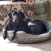 Amanda Gray Photo 46