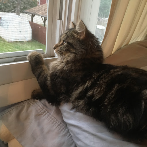 Pam Richardson Photo 33