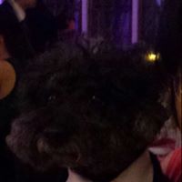 Nancy Hom Photo 21 Nancy Hom Photo 21