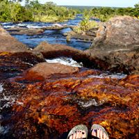 Megan Waldrop Photo 15