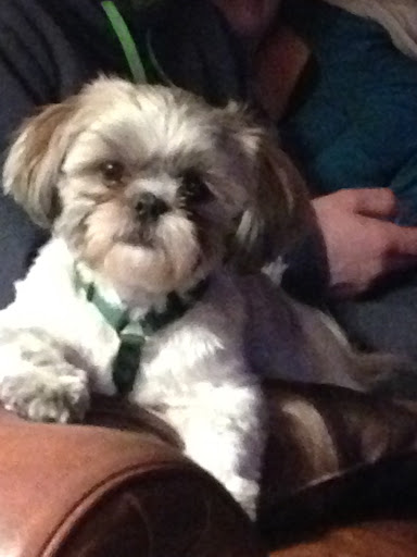 Paula Sullivan Photo 38