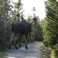 Richard Pilon Photo 31