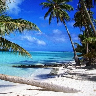 Debora Sanchez Photo 18