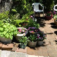 Annetta Goldman Photo 4