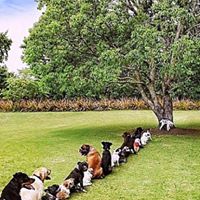 Roland Gross Photo 4