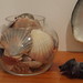 Christine Shell Photo 21