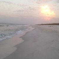 Barbara Willis Photo 26