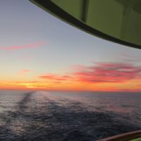 Nancy Simard Photo 14