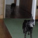 Doris Holiday Photo 14