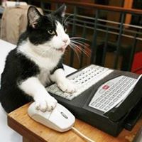 Michael Lange Photo 22