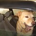 Marcus Barkley Photo 9