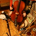 Cynthia Dall Photo 20
