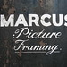 Marcus Cork Photo 11