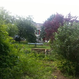 Richard Zimmer Photo 45