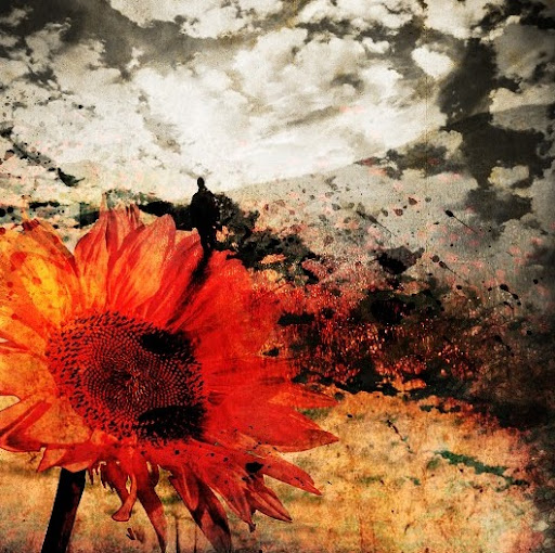 Kimberly Campbell Photo 55