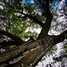 Margaret Ponds Photo 8