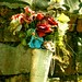 Maria White Photo 31