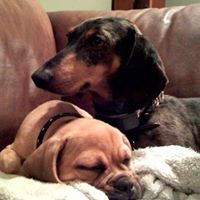 Jill Harter Photo 11