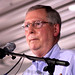 John Gurley Photo 12