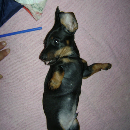 Maria Alt Photo 5