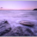 Robin Long Photo 32