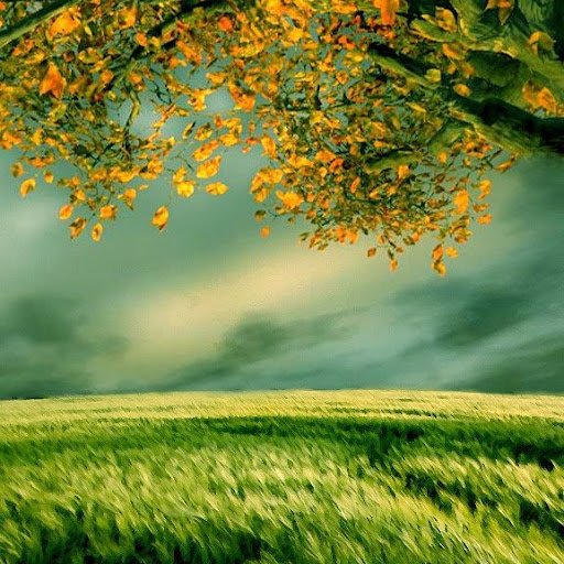 Janet Patrick Photo 28