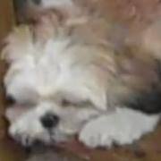 Judy Spring Photo 14