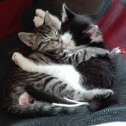 Helen Wells Photo 12