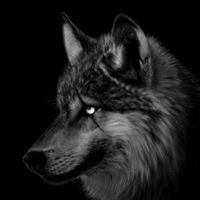 Jimmy Pruitt Photo 38 Jimmy Pruitt Photo 38