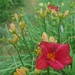 Linda Barth Photo 18