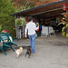 Cindy Chien Photo 11