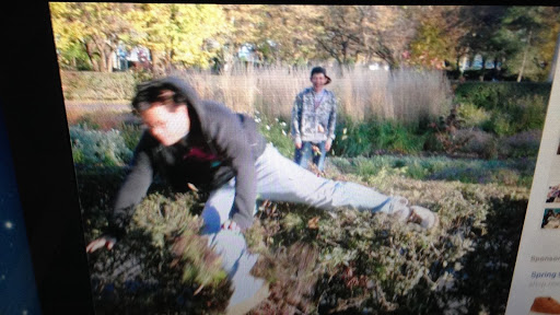 Brandon Kim Photo 33