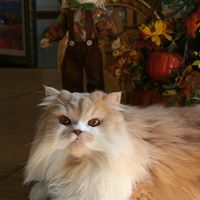 Brenda Sizemore Photo 13