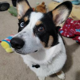 Chris Richards Photo 13