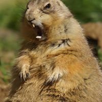 Doug Warren Photo 11