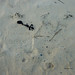 Richard Haley Photo 23