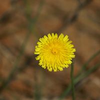 Addyson Smith Photo 5