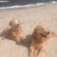 Mitchell Slater Photo 5