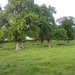 Perry Bishop Photo 32
