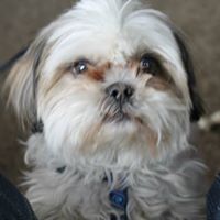 Tracie Tanner Photo 19 Tracie Tanner Photo 19