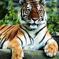 Bill Kendrick Photo 30